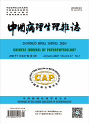 中国病理生理杂志（2021年01期）