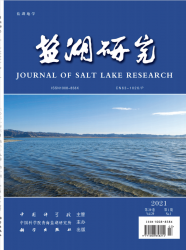 盐湖研究（2021年01期）