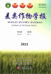 麦类作物学报（2021年01期）