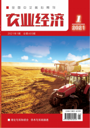 农业经济（2021年01期）