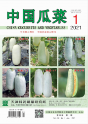 中国瓜菜（2021年01期）