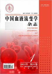 中国血液流变学杂志（2021年01期）