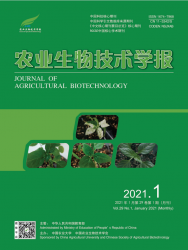 农业生物技术学报（2021年01期）