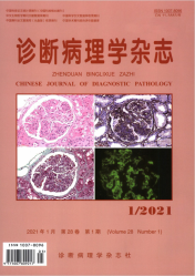 诊断病理学杂志（2021年01期）